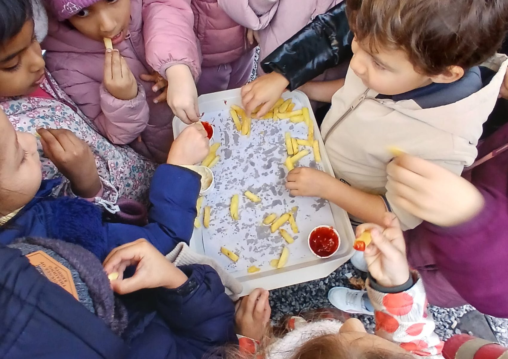 whatsapp image 2025-11-15 at 22.16.28 5